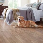 best floors for pet accidents