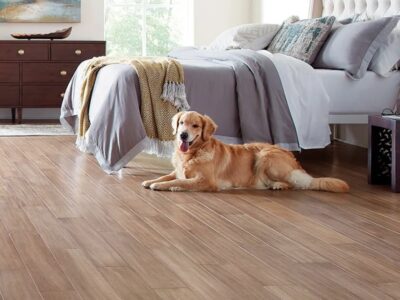 best floors for pet accidents