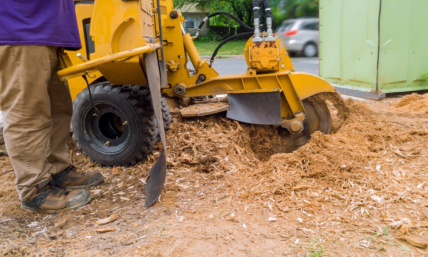 How to Find Reliable Stump Grinding Service Near Me? - Platinum Home Pros