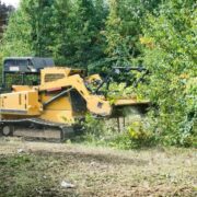 Graham land clearing