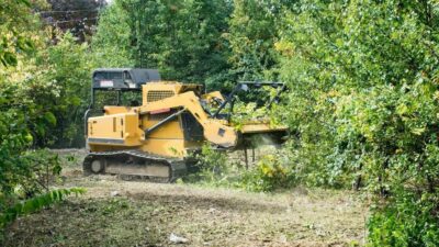 Graham land clearing