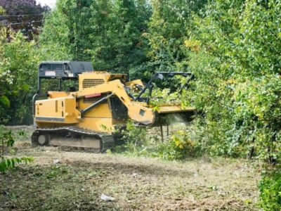 Graham land clearing
