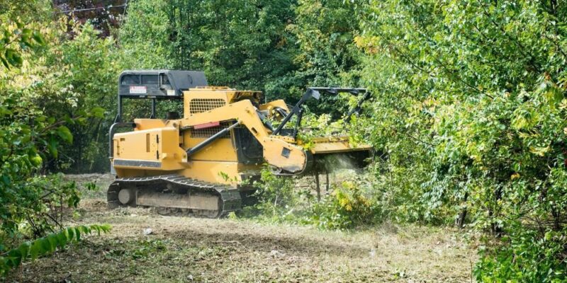 Graham land clearing